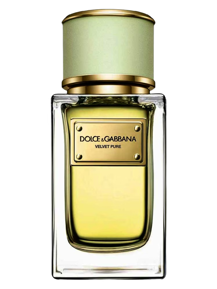Dolce & Gabbana Velvet Pure Eau De Parfum fragrance product image