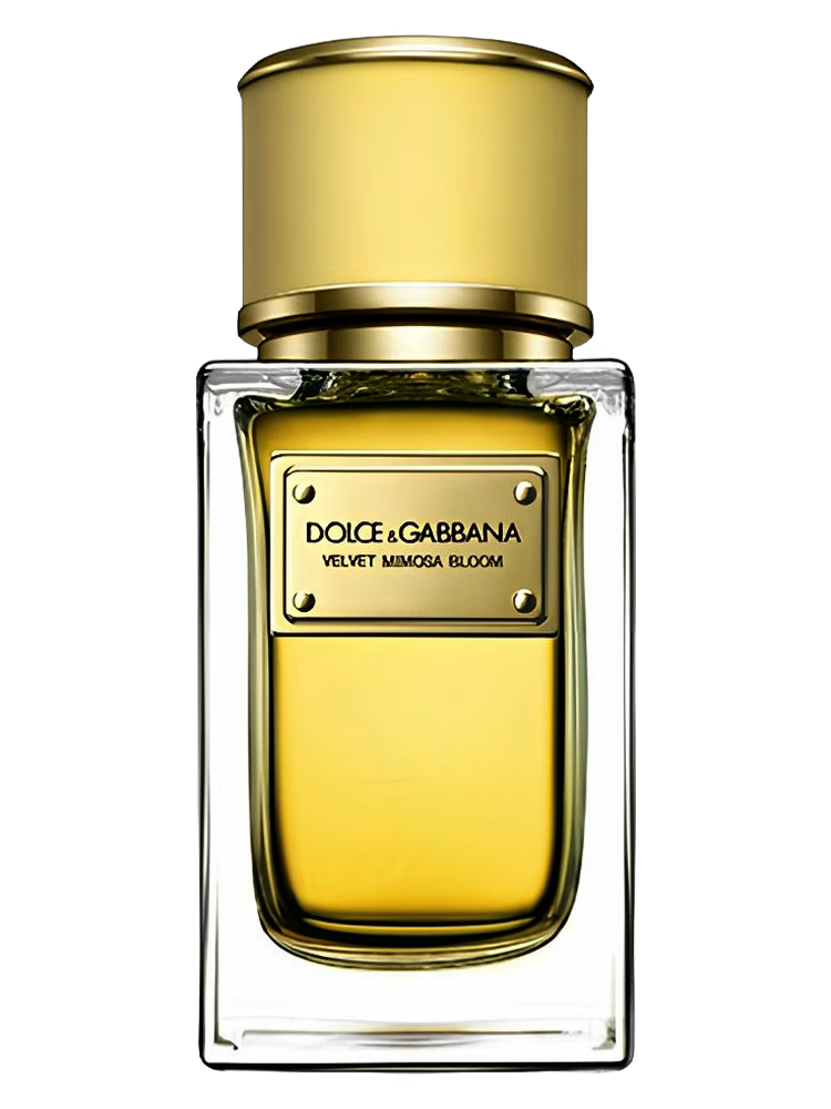 Dolce & Gabbana Velvet Mimosa Bloom Eau De Parfum fragrance product image