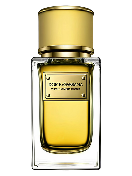 Dolce & Gabbana Velvet Mimosa Bloom Eau De Parfum fragrance product image