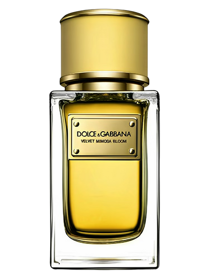 Dolce & Gabbana Velvet Mimosa Bloom Eau De Parfum fragrance product image
